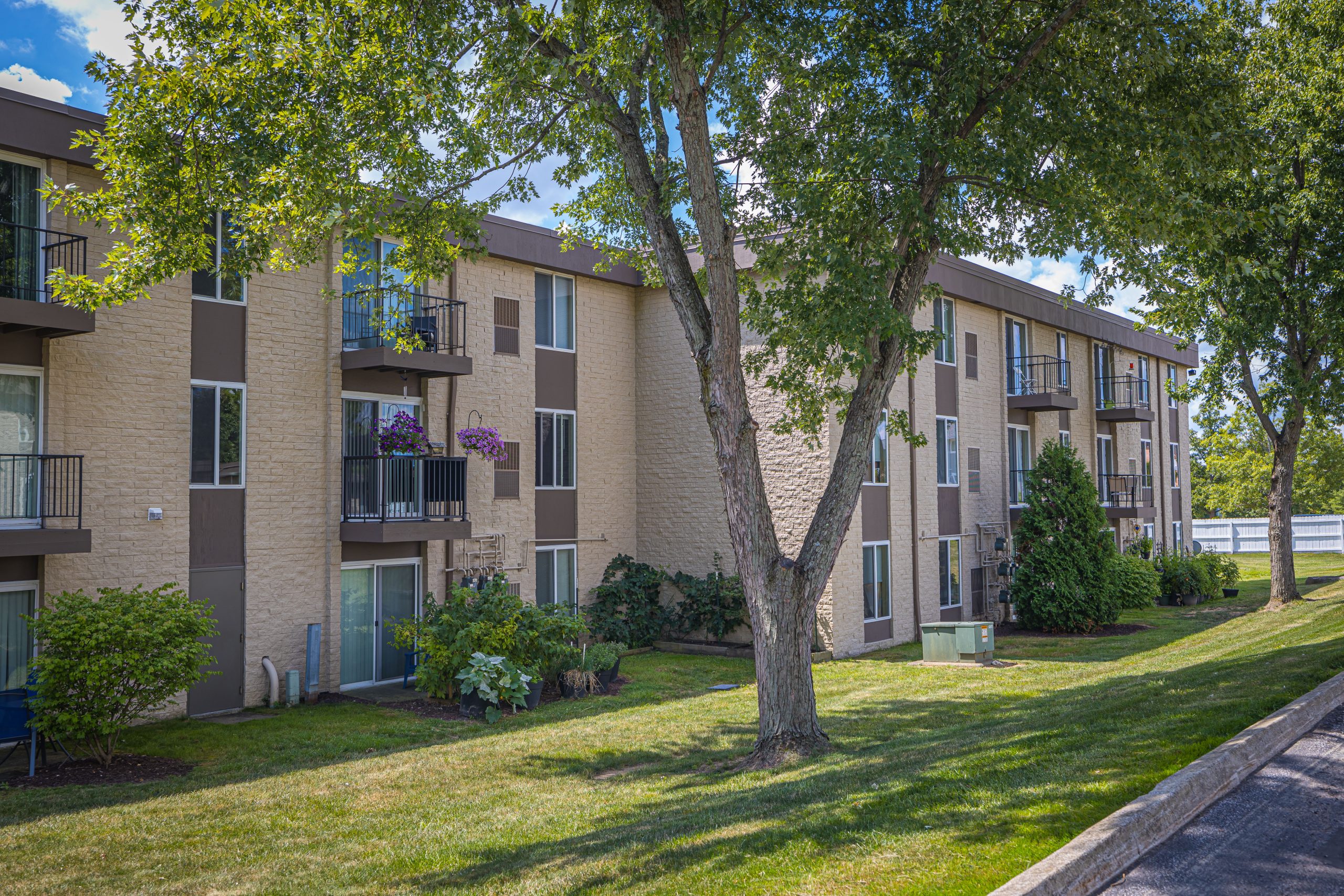 Village S. Carpenter