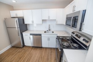 Village on S. Carpenter