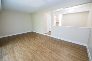 Village on S. Carpenter